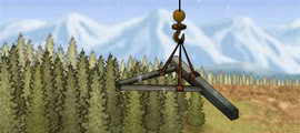 National Geographic Interactives